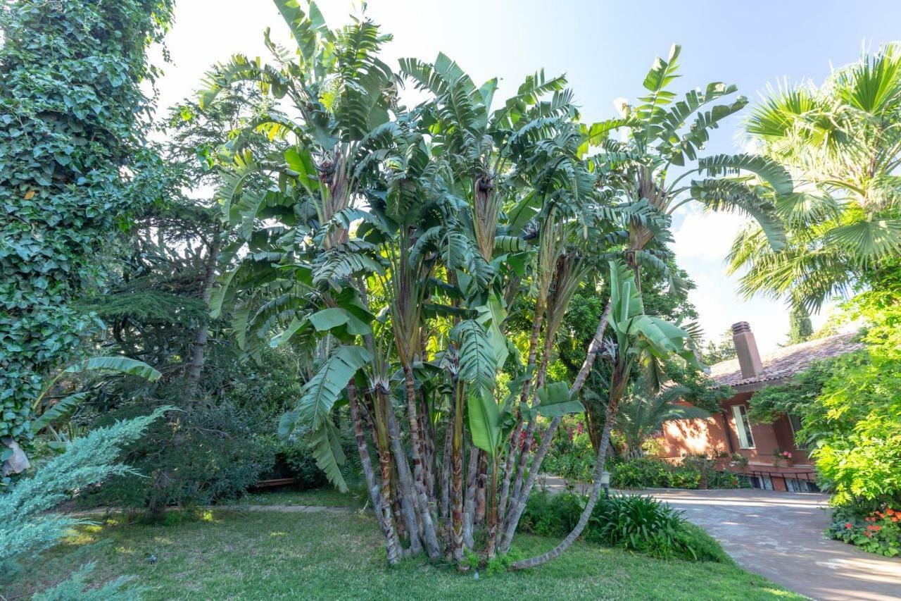 モンデッロ Il Giardino Di Michela By Domusicilyヴィラ エクステリア 写真